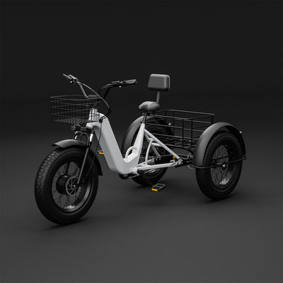 Tricycle Three-Wheel Fat Tire Electric Bike