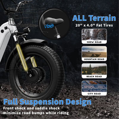 Tricycle Three-Wheel Fat Tire Electric Bike